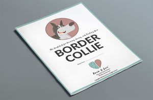 The Border Collie Guide (eBook)